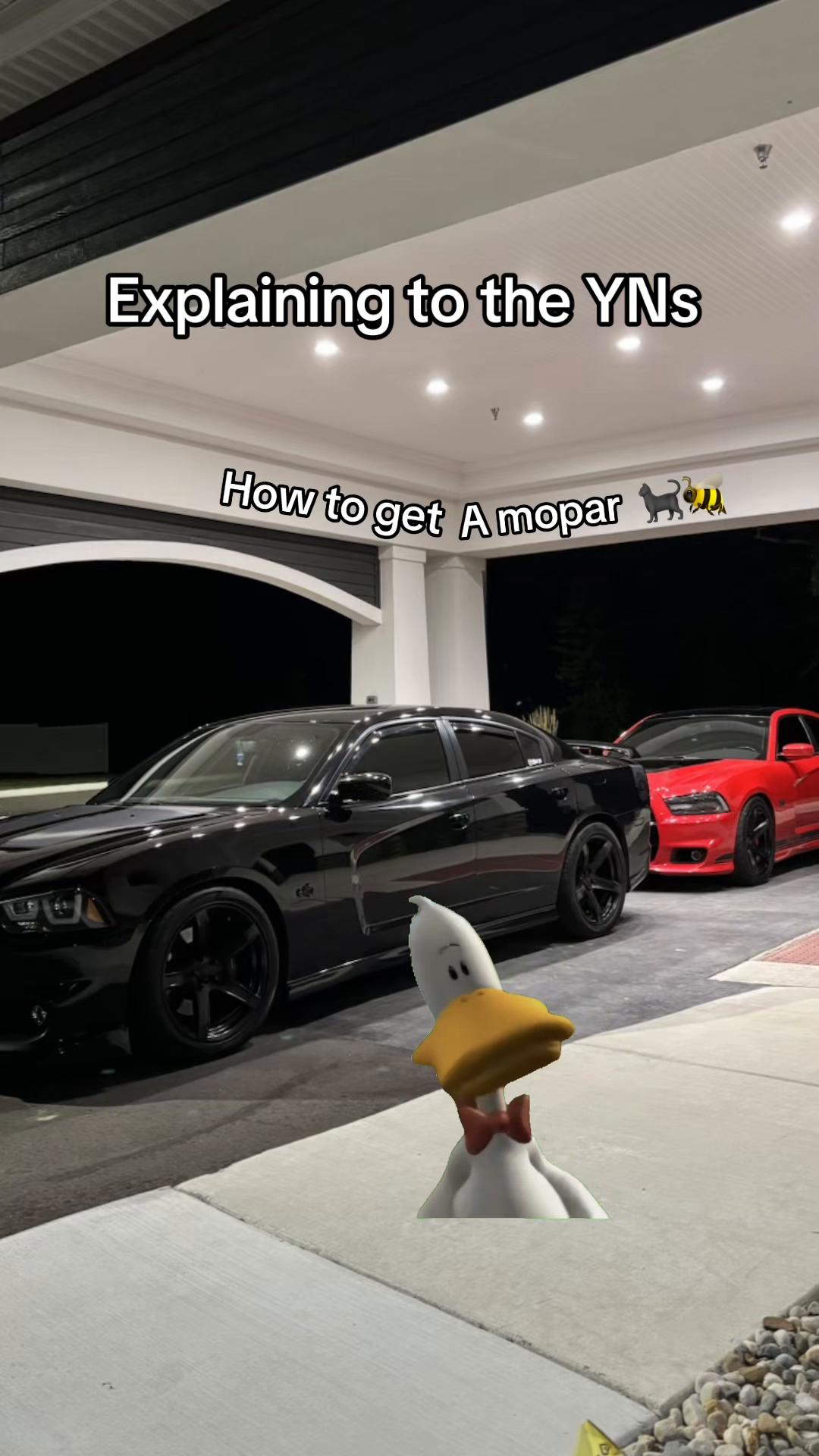 @Night_bee🐝