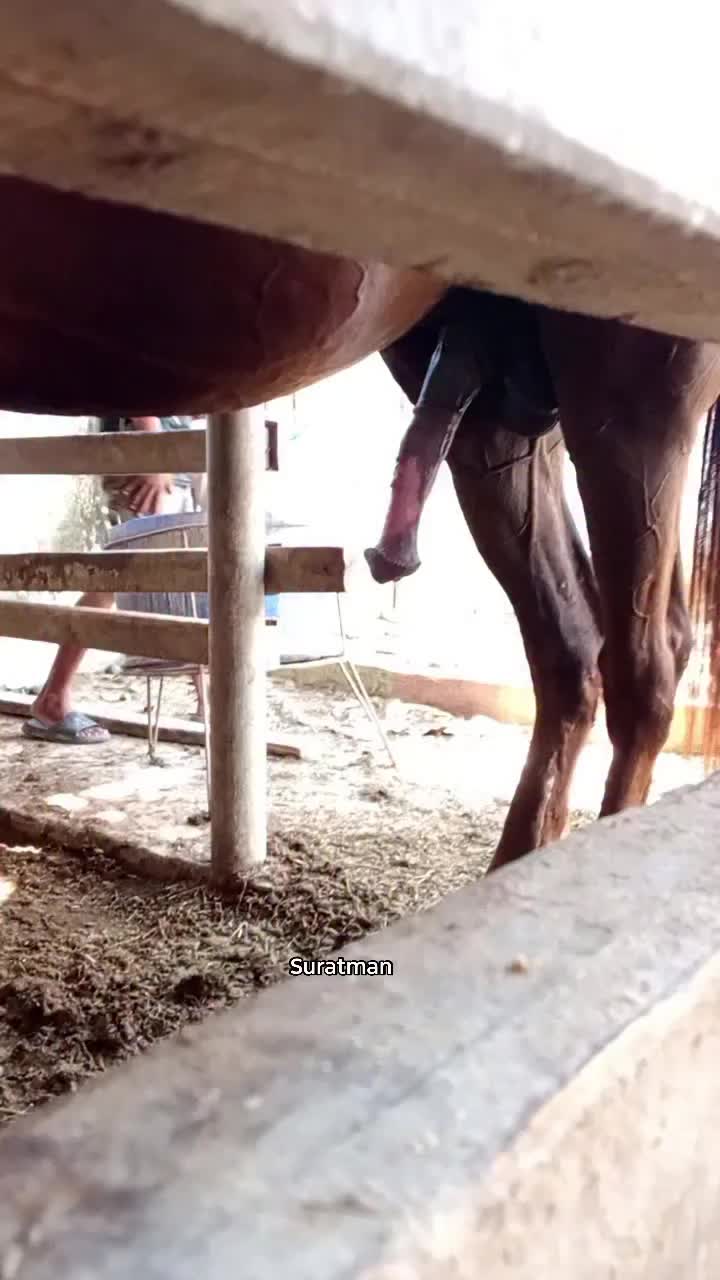 @annaroseus101