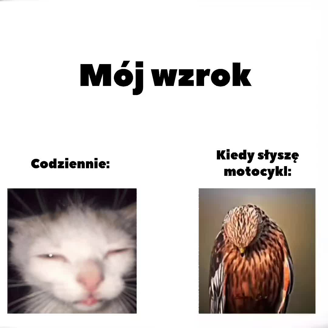 @Foxe