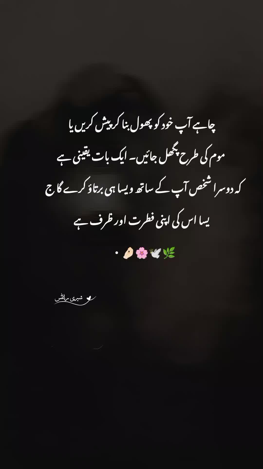 @شیری رائٹس🦢