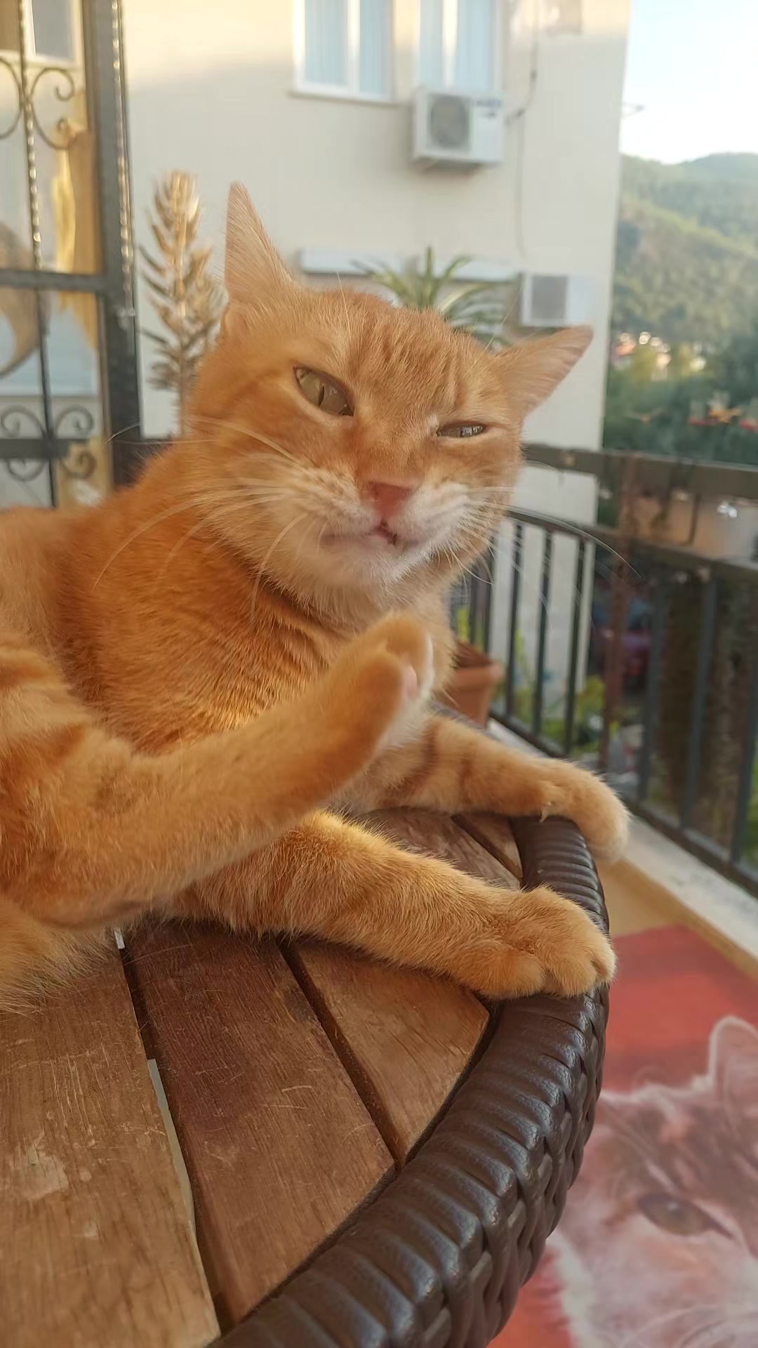 @DENİZGOKAY