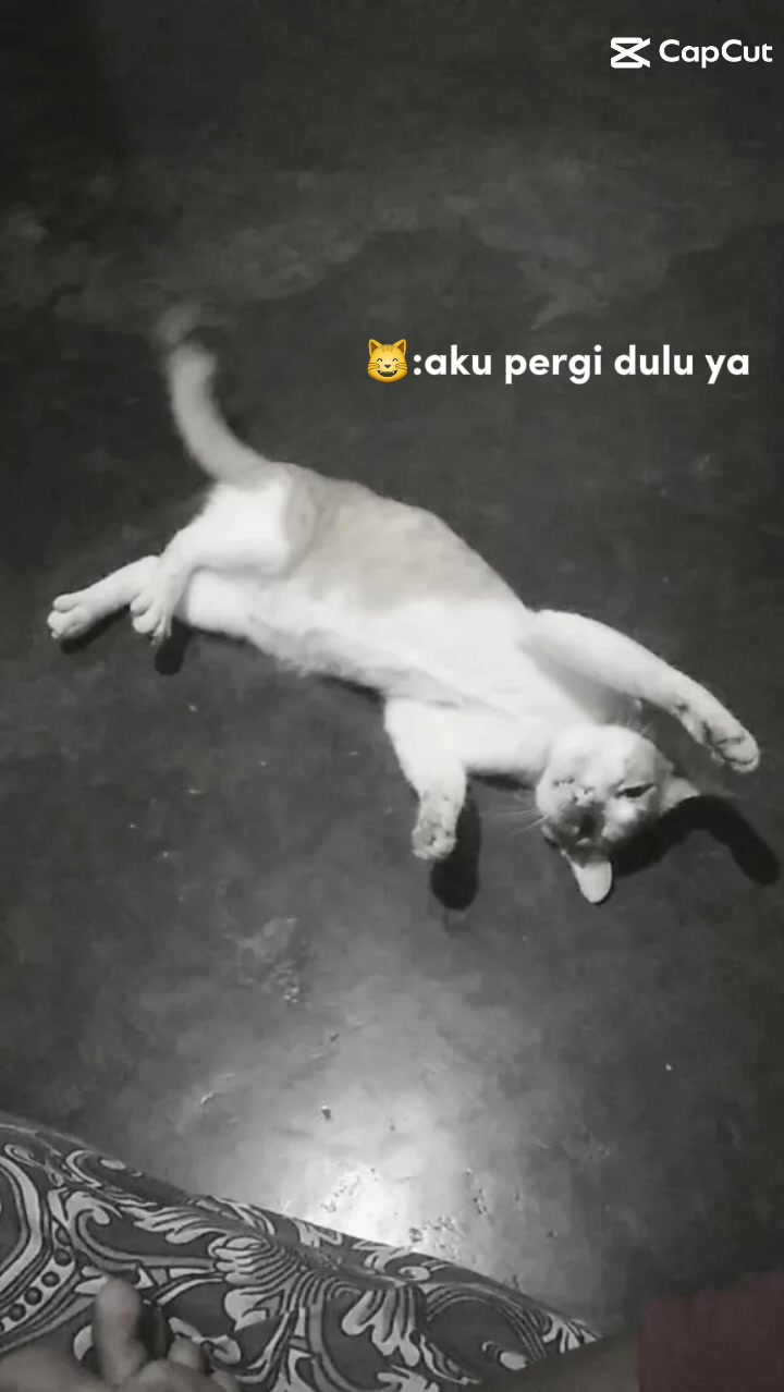 @іᥒᥲ💤🌷