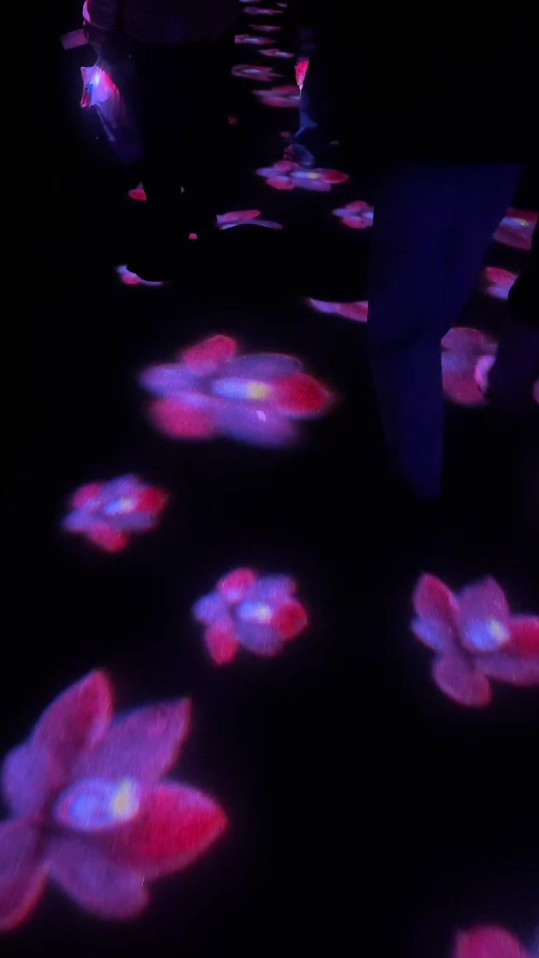 @🌸🌸🌸ᗷIᑎITᗩᗩ 🌸🌸🌸