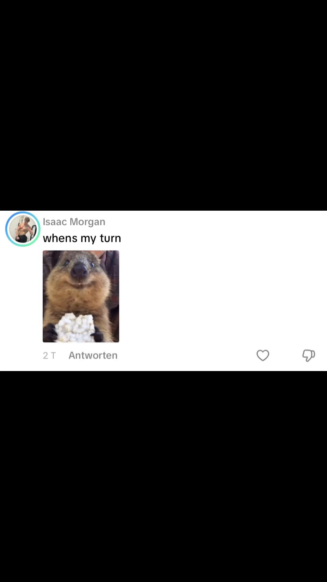 @Reeper_v5