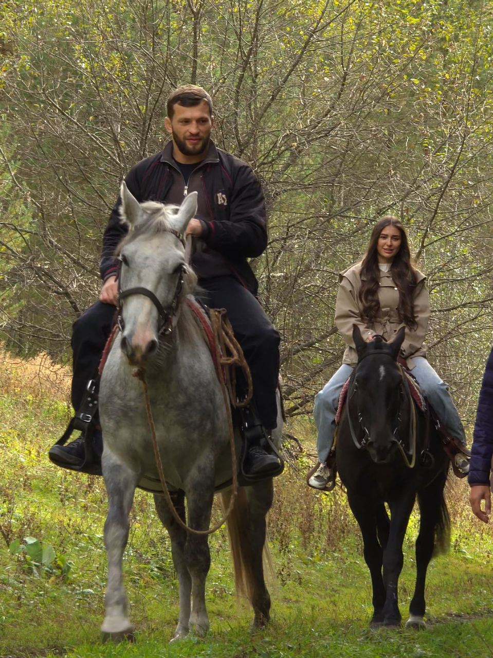 @tg: altaihorses