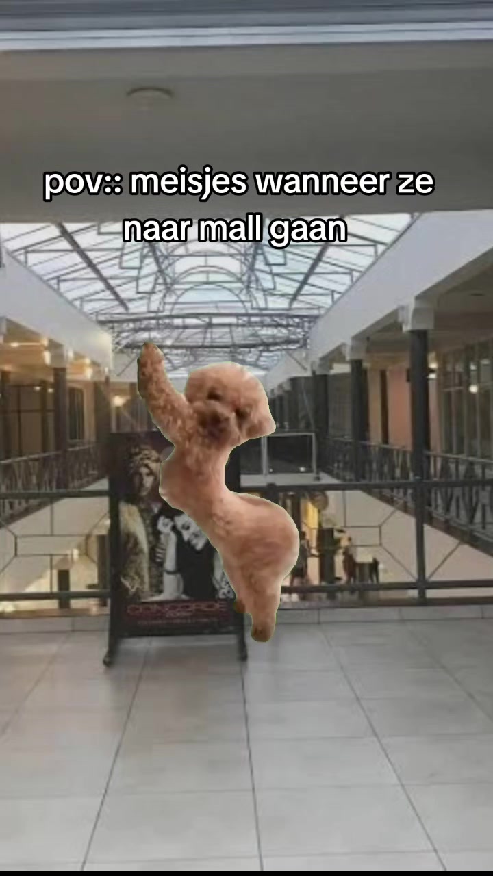 @🤣SURINAME FUNNY🤣