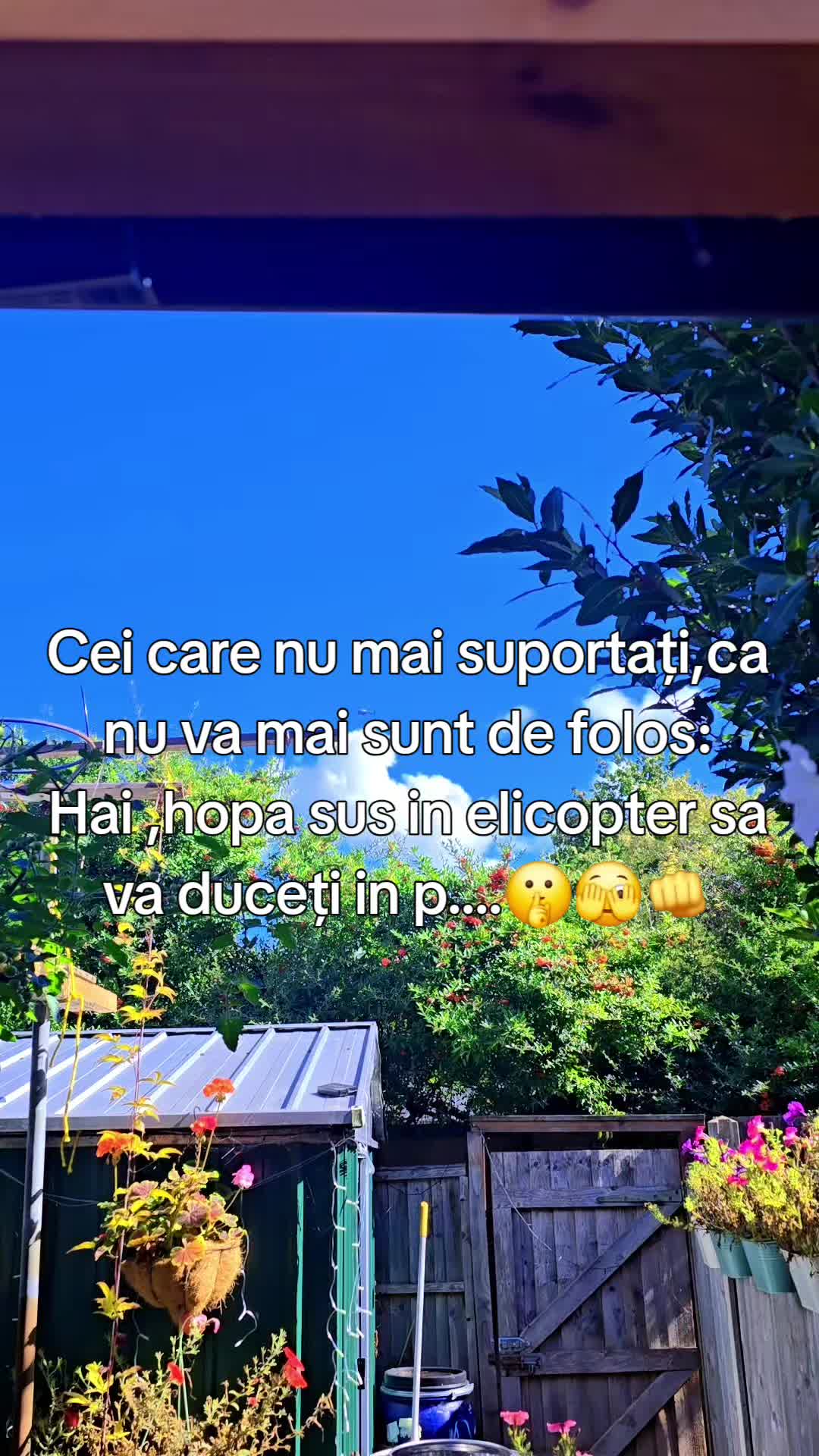 @Alessia