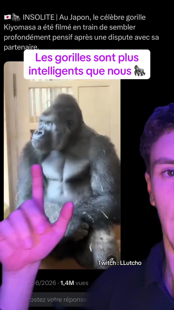 @LLutcho 💫