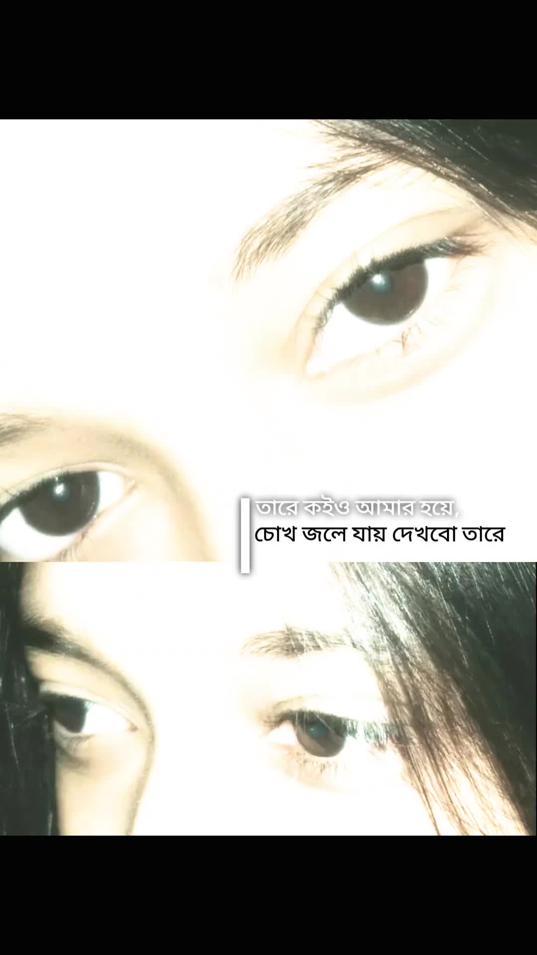 @️পাখি...!🕊