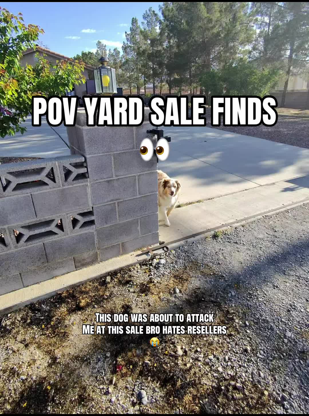 @P.V.