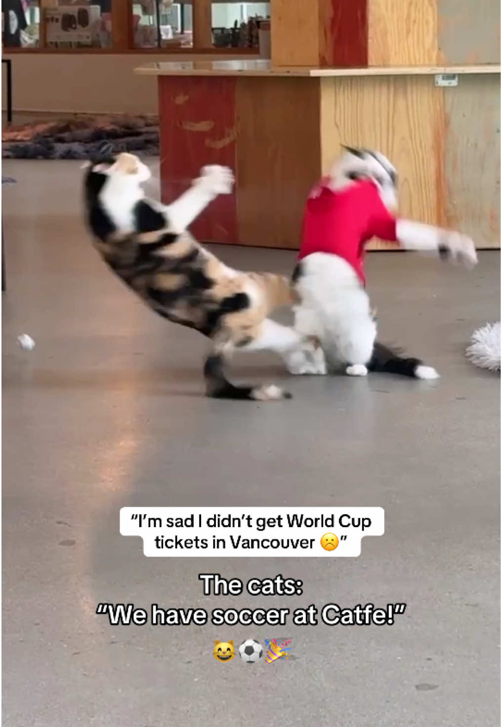 @Catfe