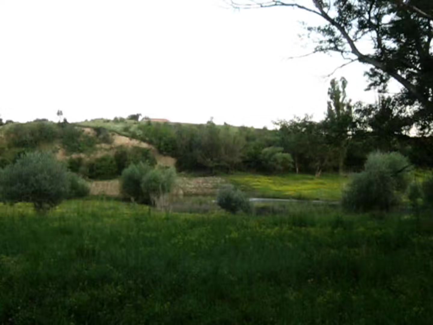 @viaje a ninguna parte