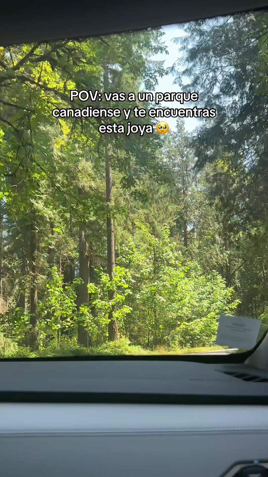 @Steph || Vivir en Canadá 🇨🇦