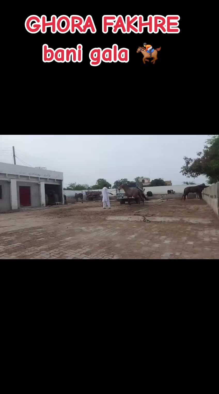 @GUJJAR BADSHAH CHAK PIRANA