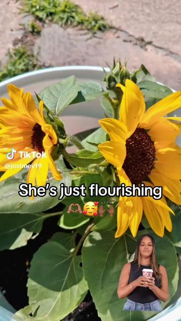 @Butterfly Gawdess Shop, LLC.