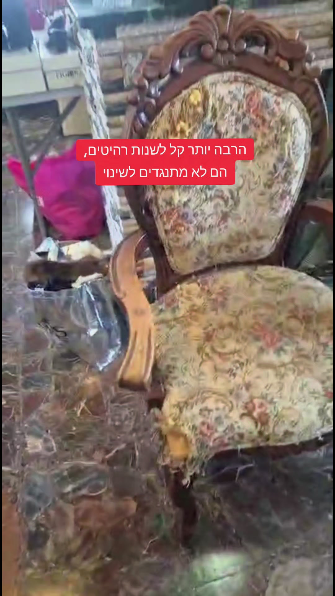 @DIMA MIND FIT מאמן מנטלי