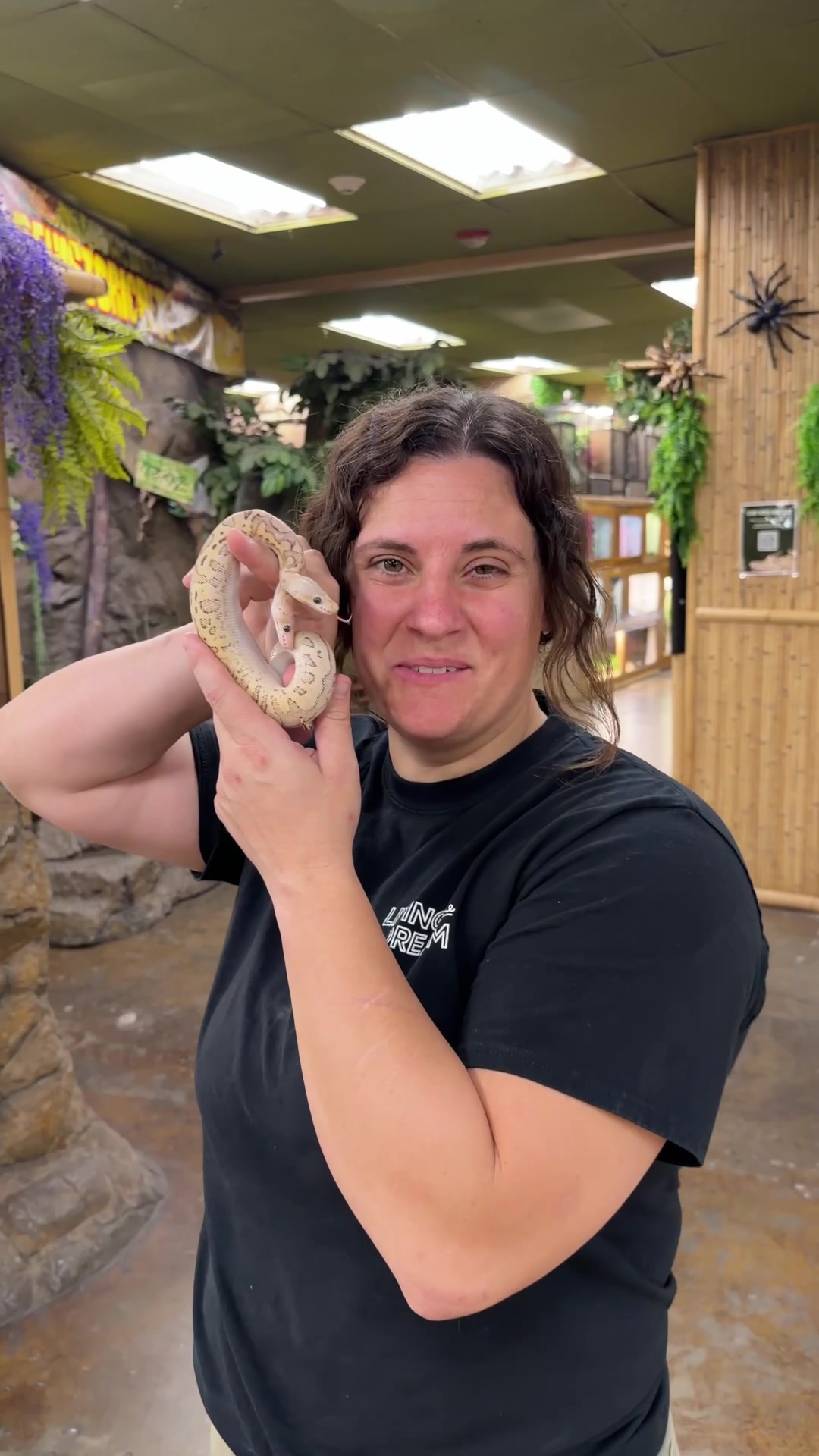 @The Reptile Zoo