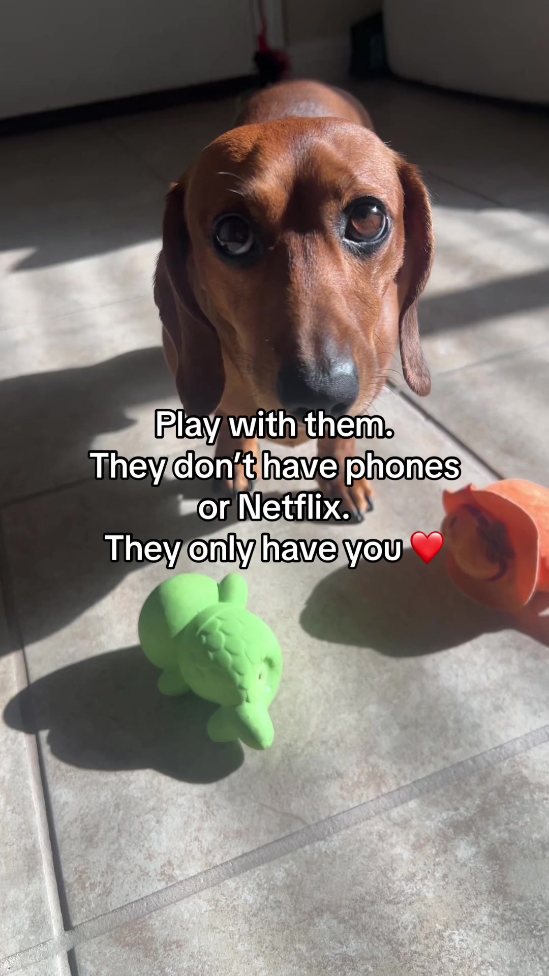 @Slinky Severus-Doo