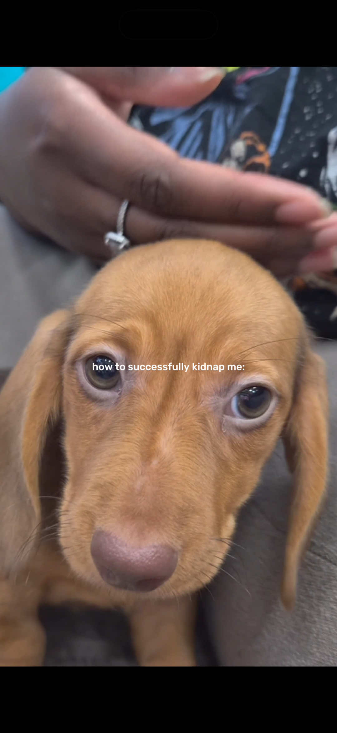@Petland Oklahoma City