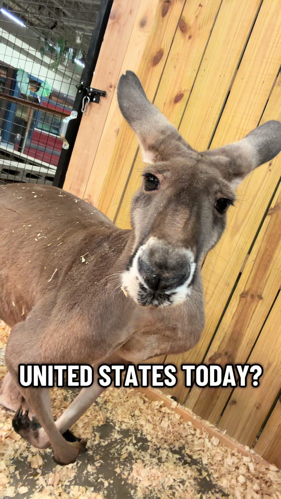@d_gatorboy