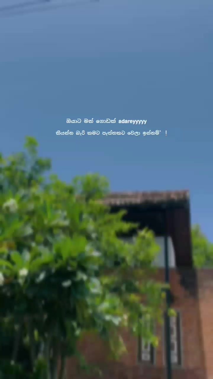 @โฏ๐ฐ ๐ฟ ๐พ ๐พ ๐ ๐ ๐ฐเทดใ