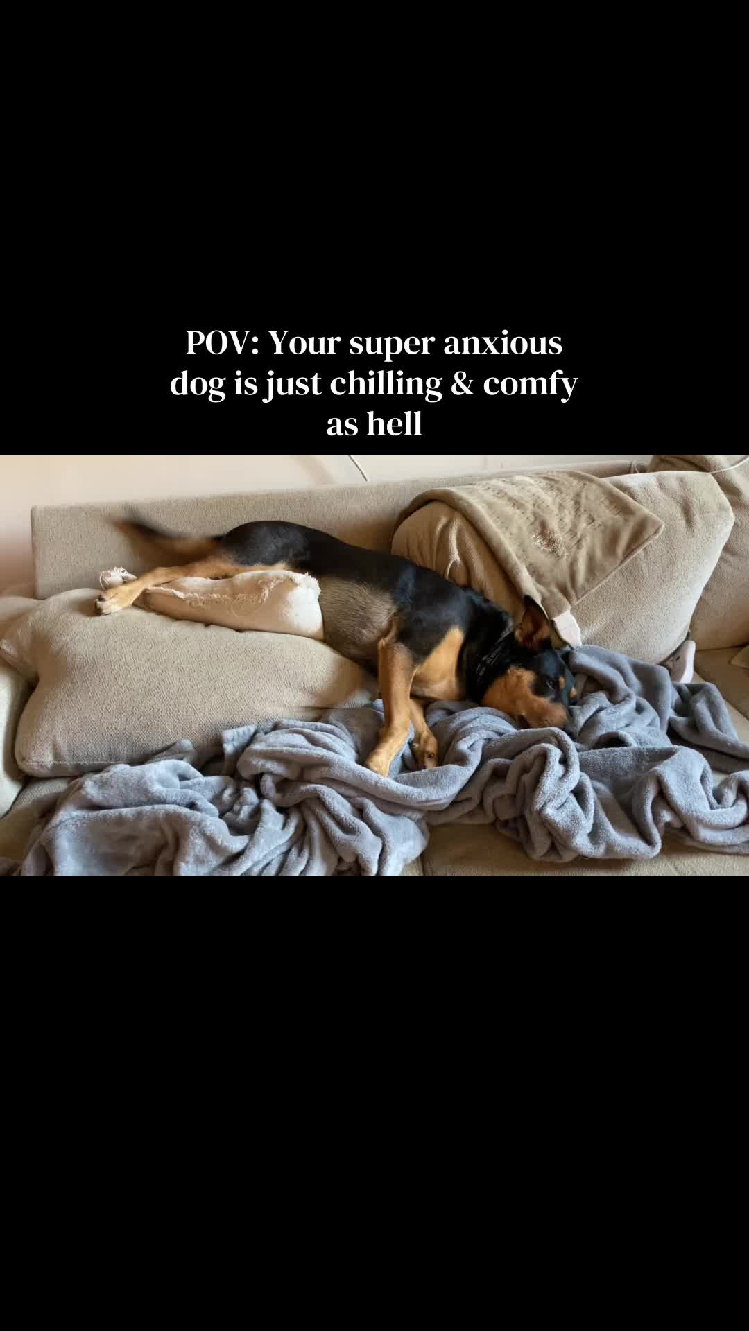 @Jessica 🤍 WFH Dog mom of 2🐶