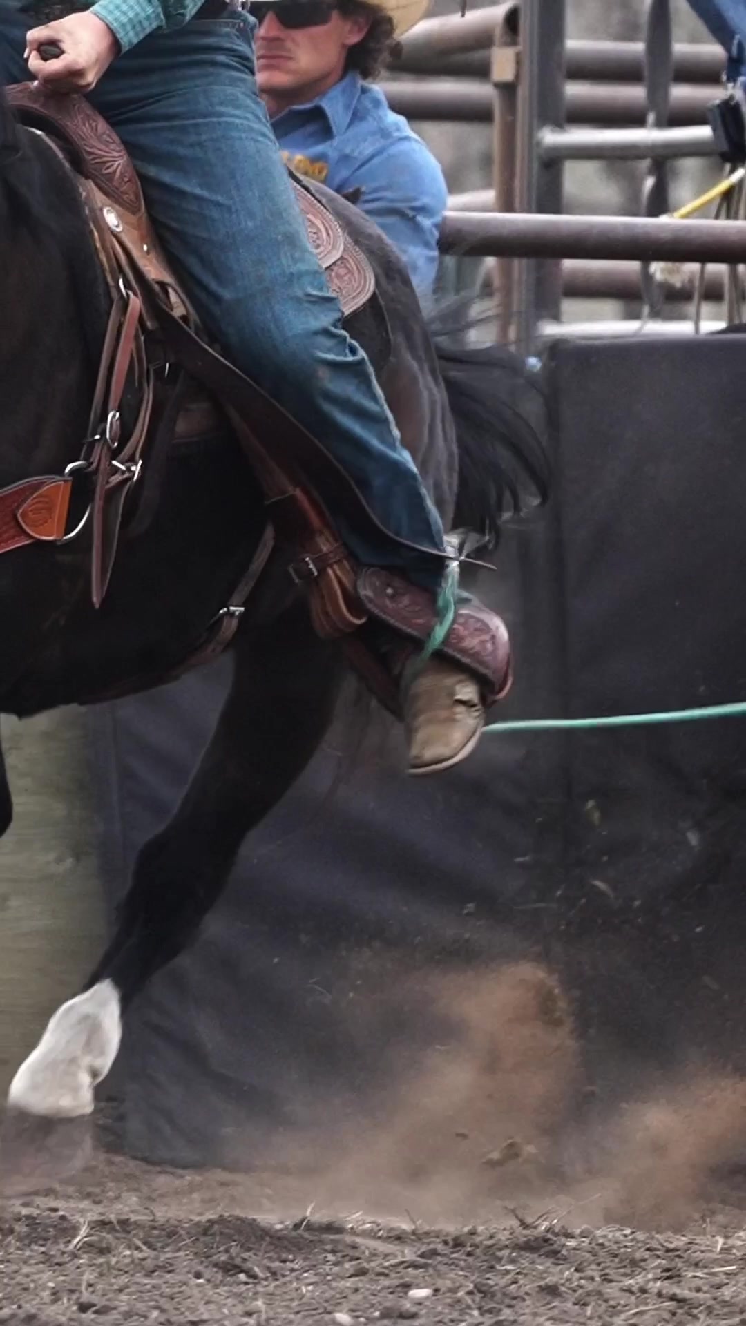 @Hanginghorses