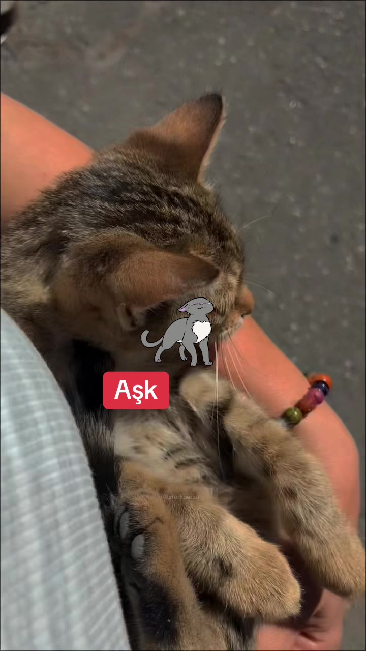 @nn.natı ✍️❤️🙅🏼♀️