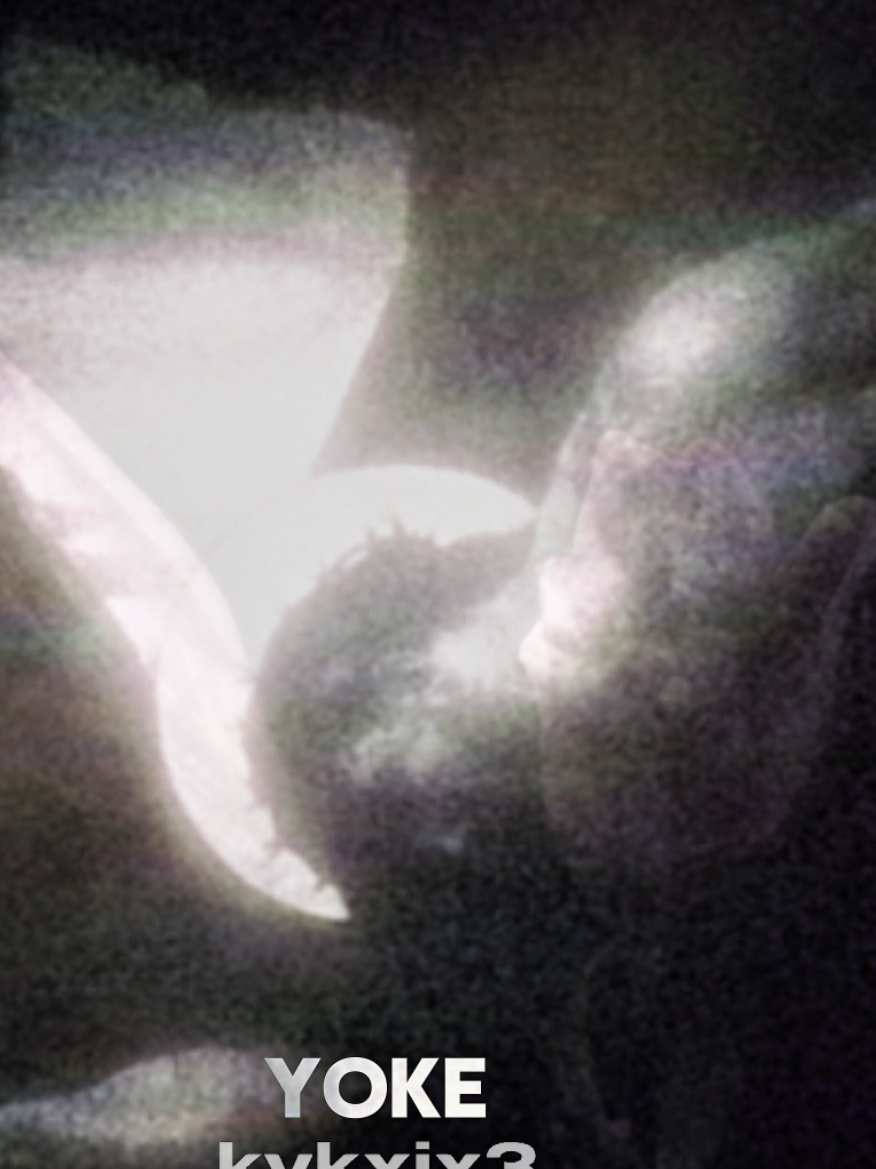 @✥𝚈𝚘𝚑𝚗✥