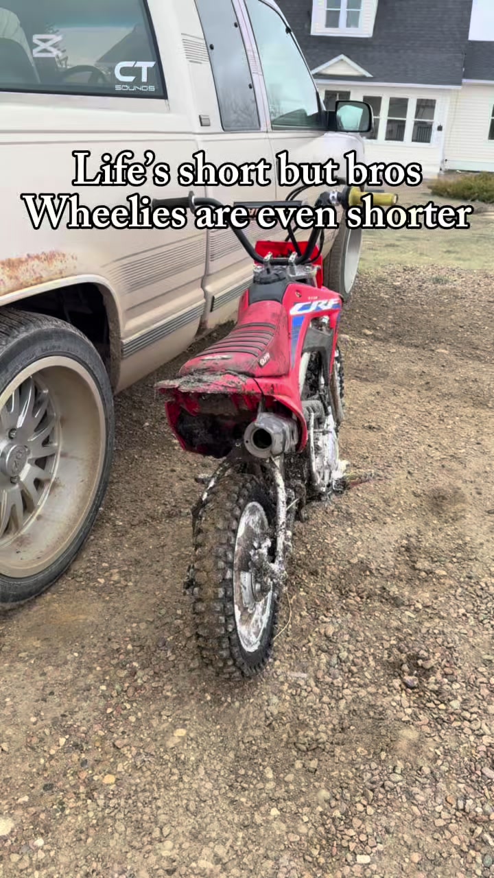 @𝓒𝓪𝓼𝓱 🇨🇦