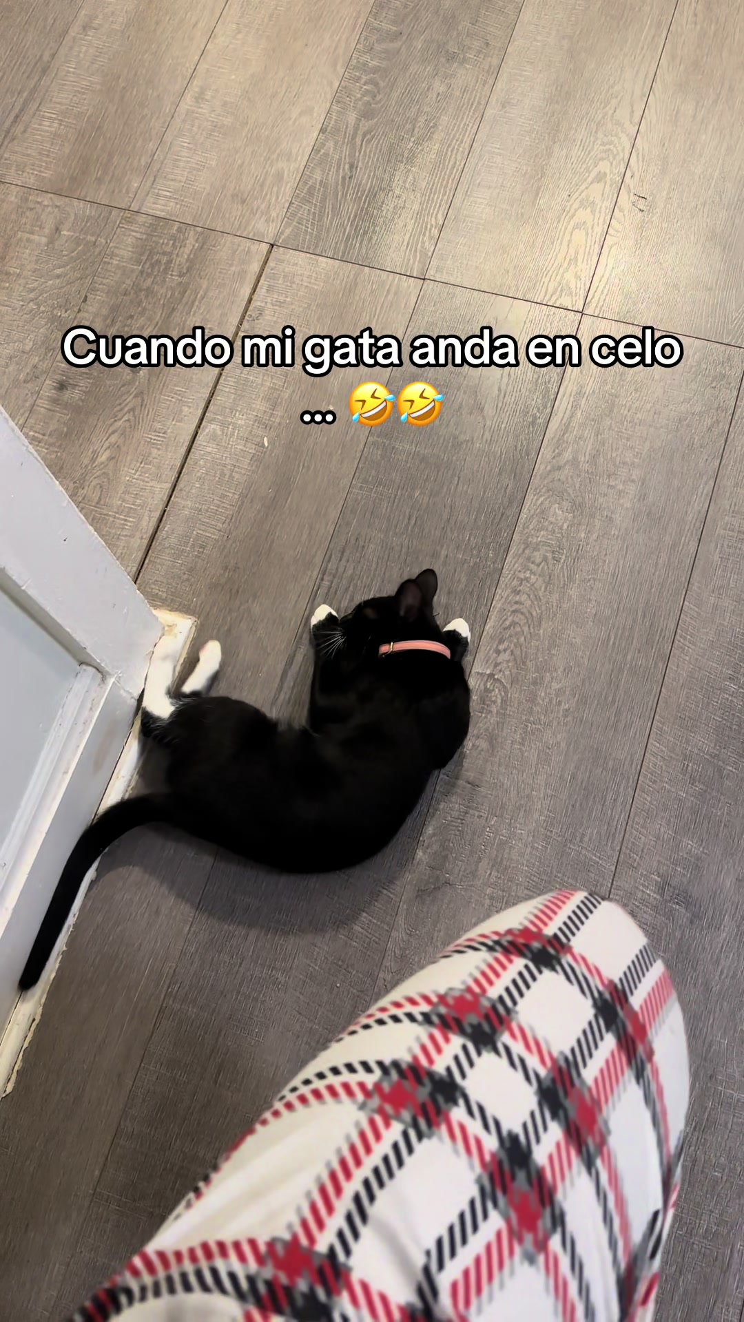 @Anyi99