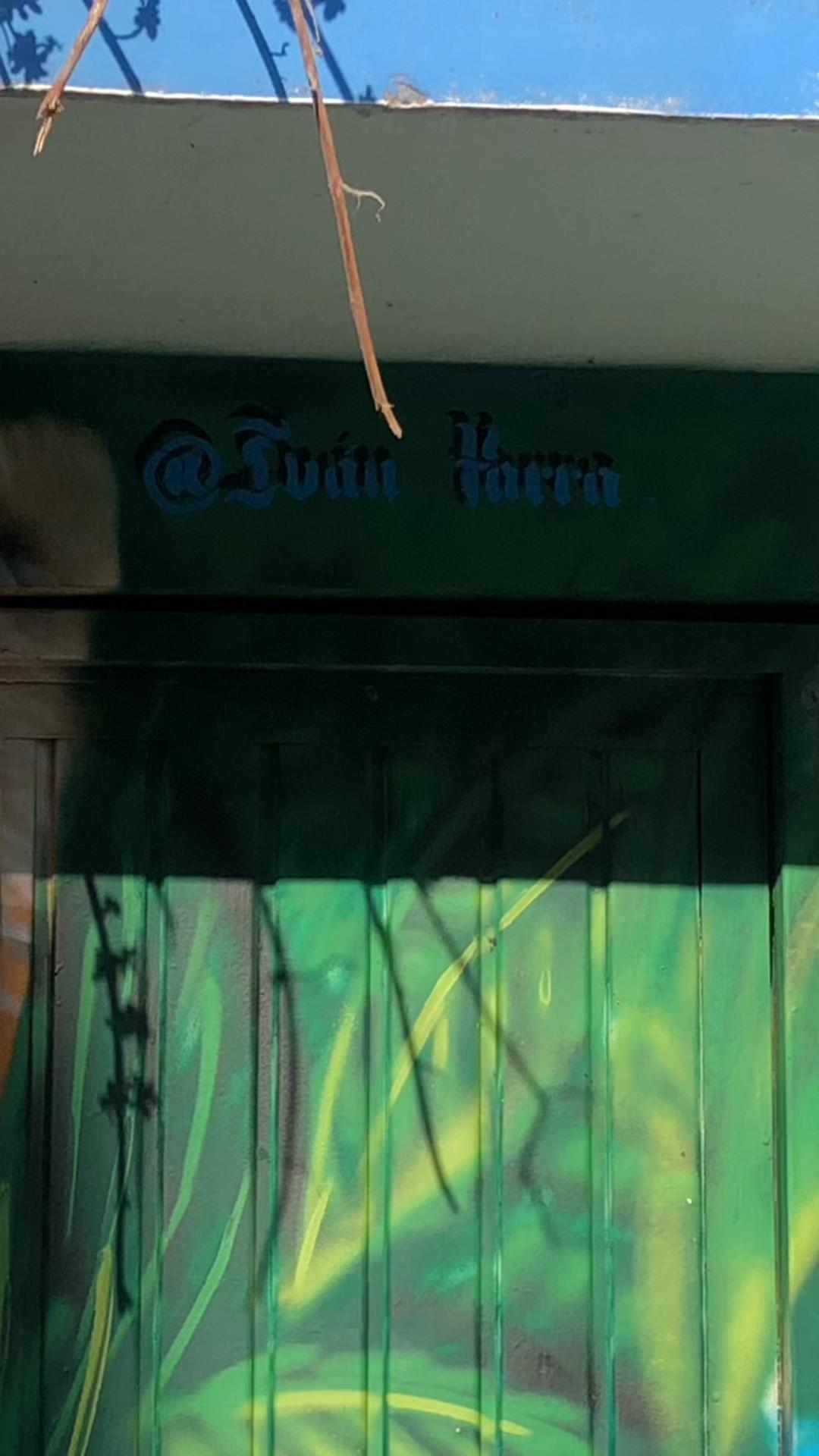 @Iván Parra