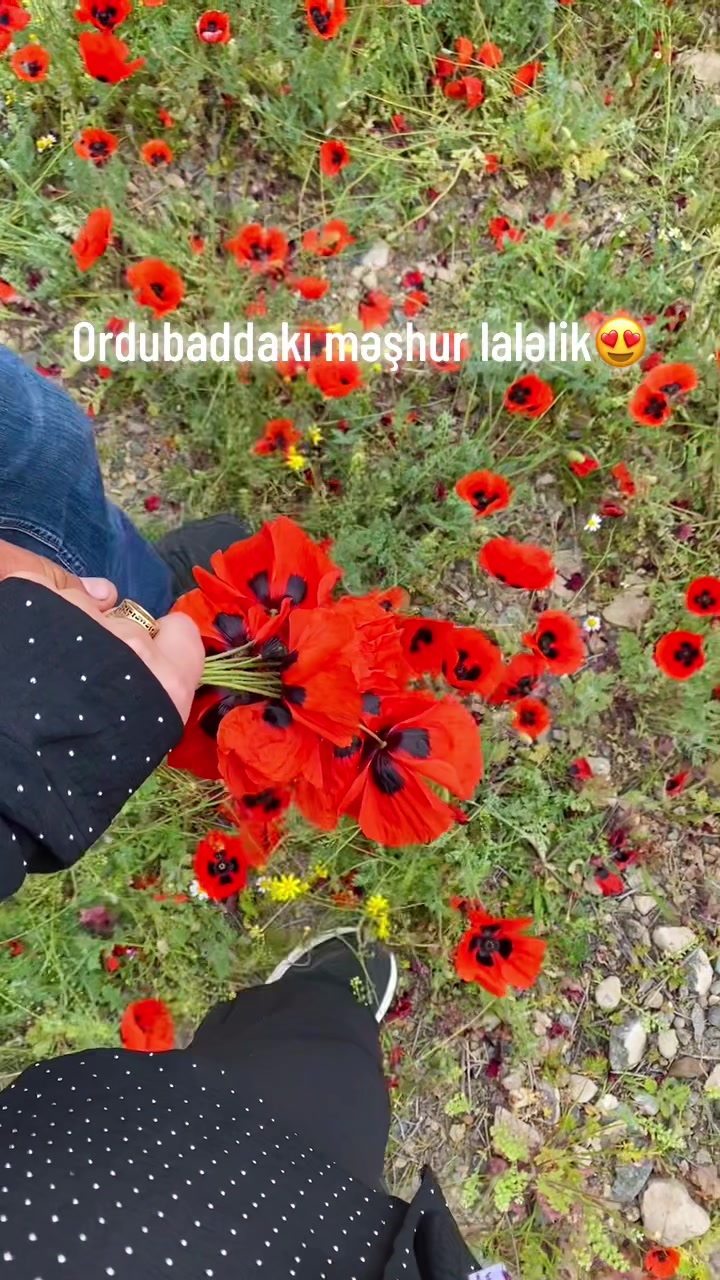 @_gulu_313