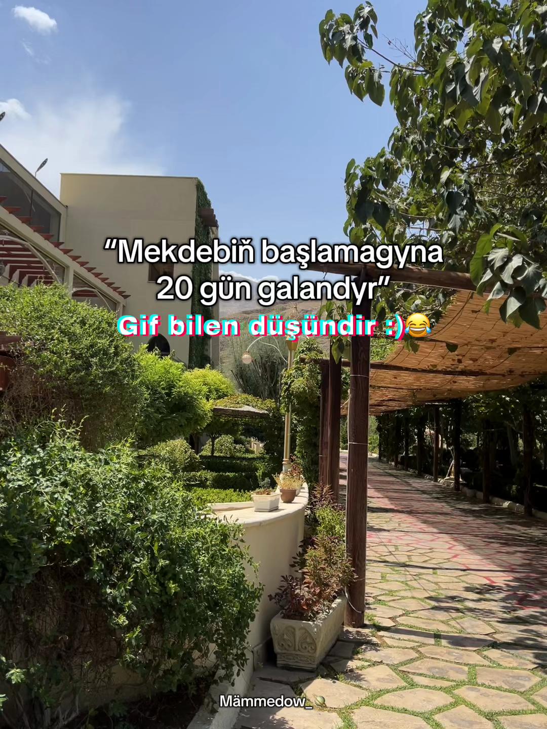 @Mämmedow_🪐