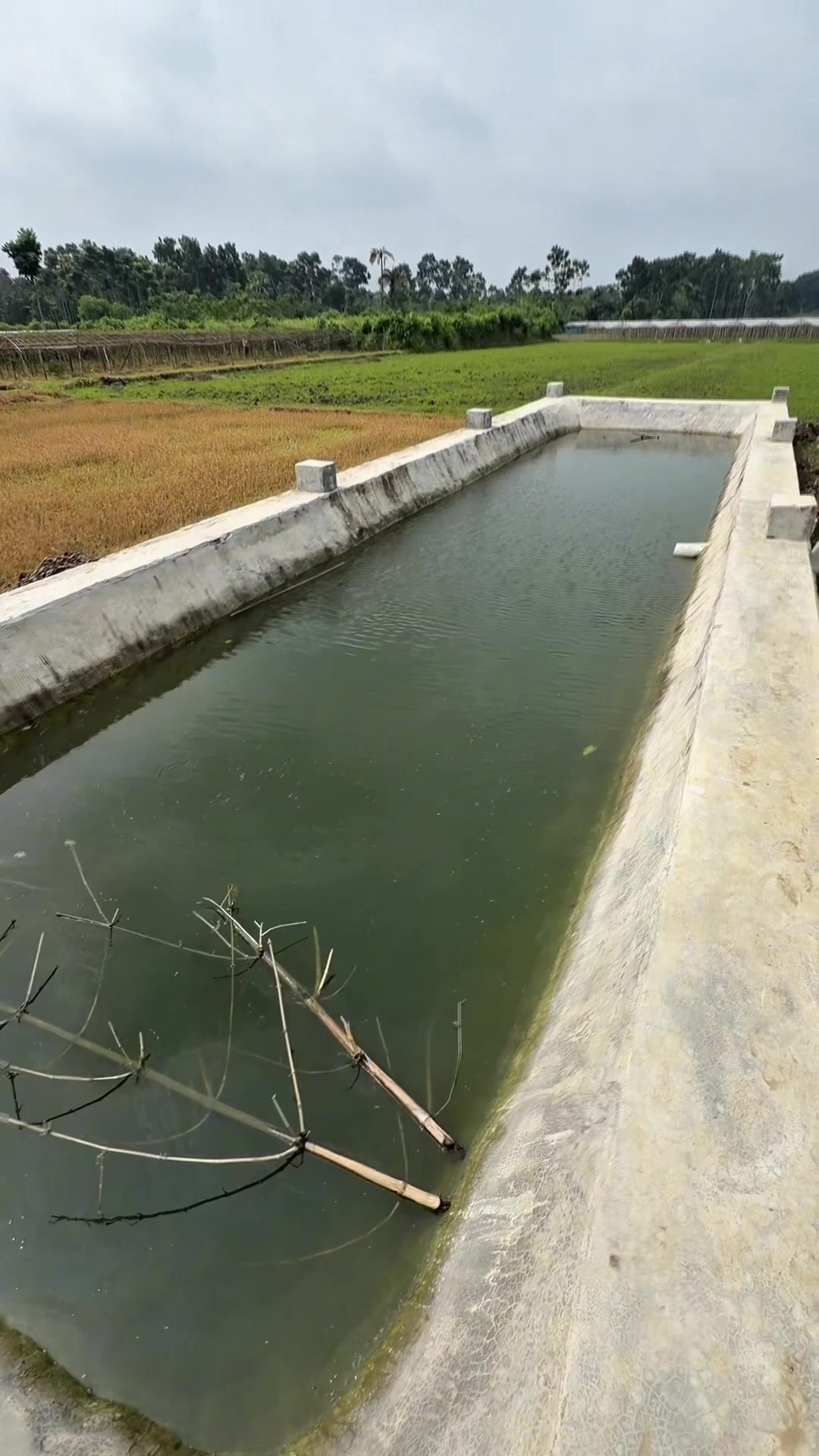 @কৃষি আপডেট