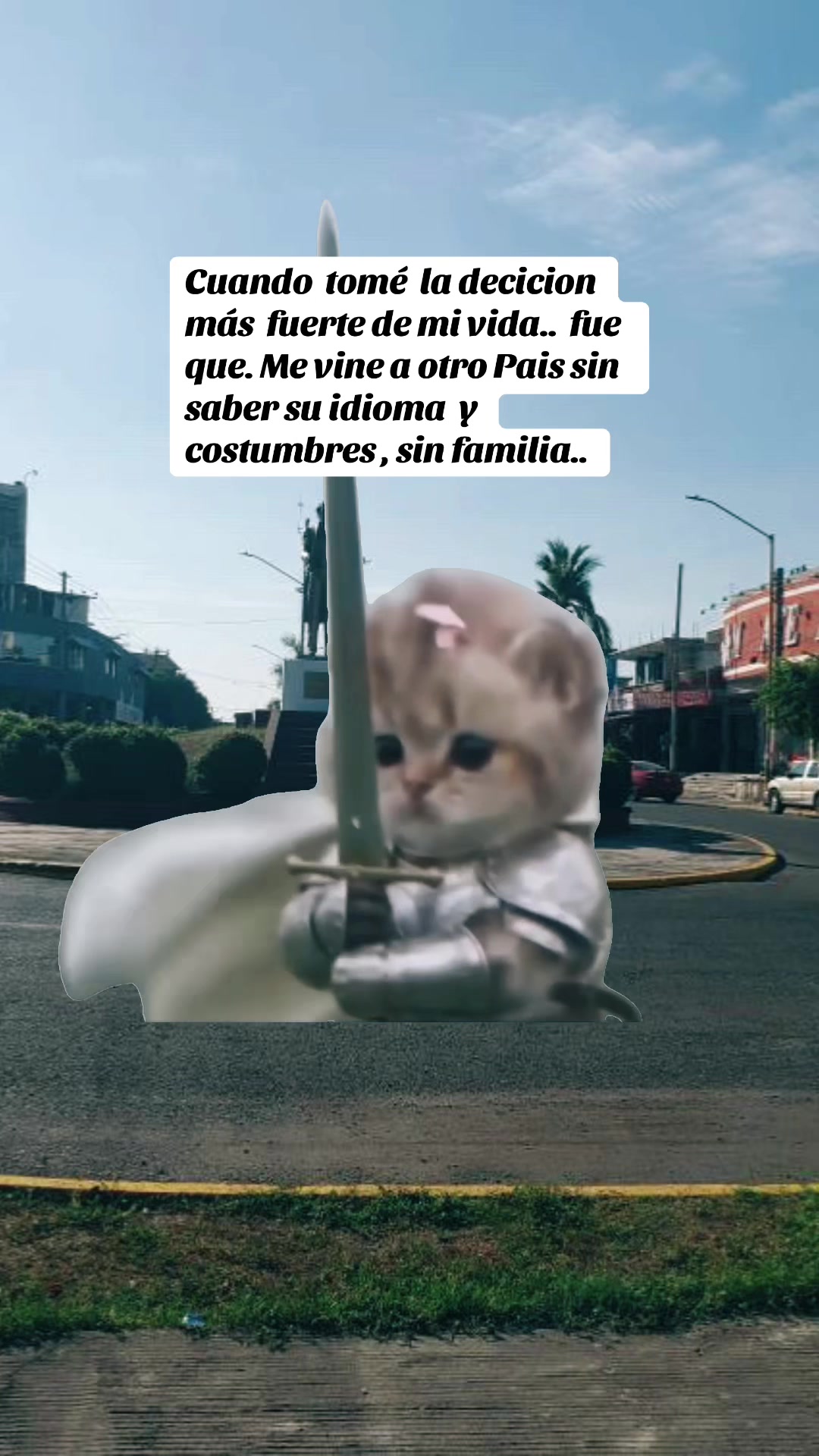 @Jovita Gomes