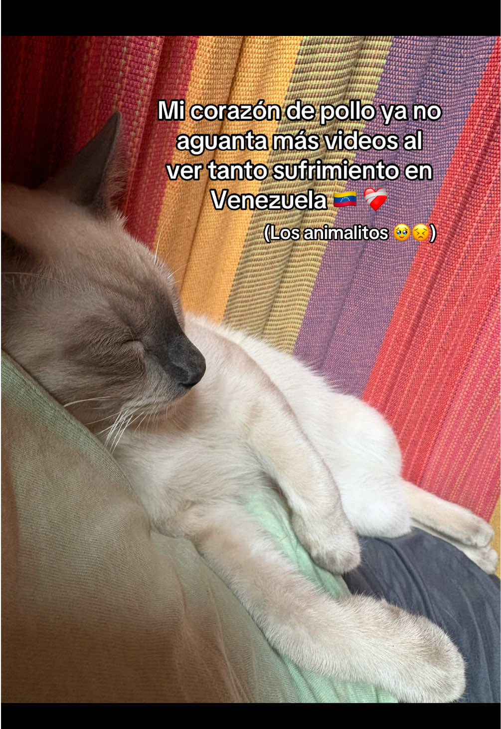 @𝓚🐼