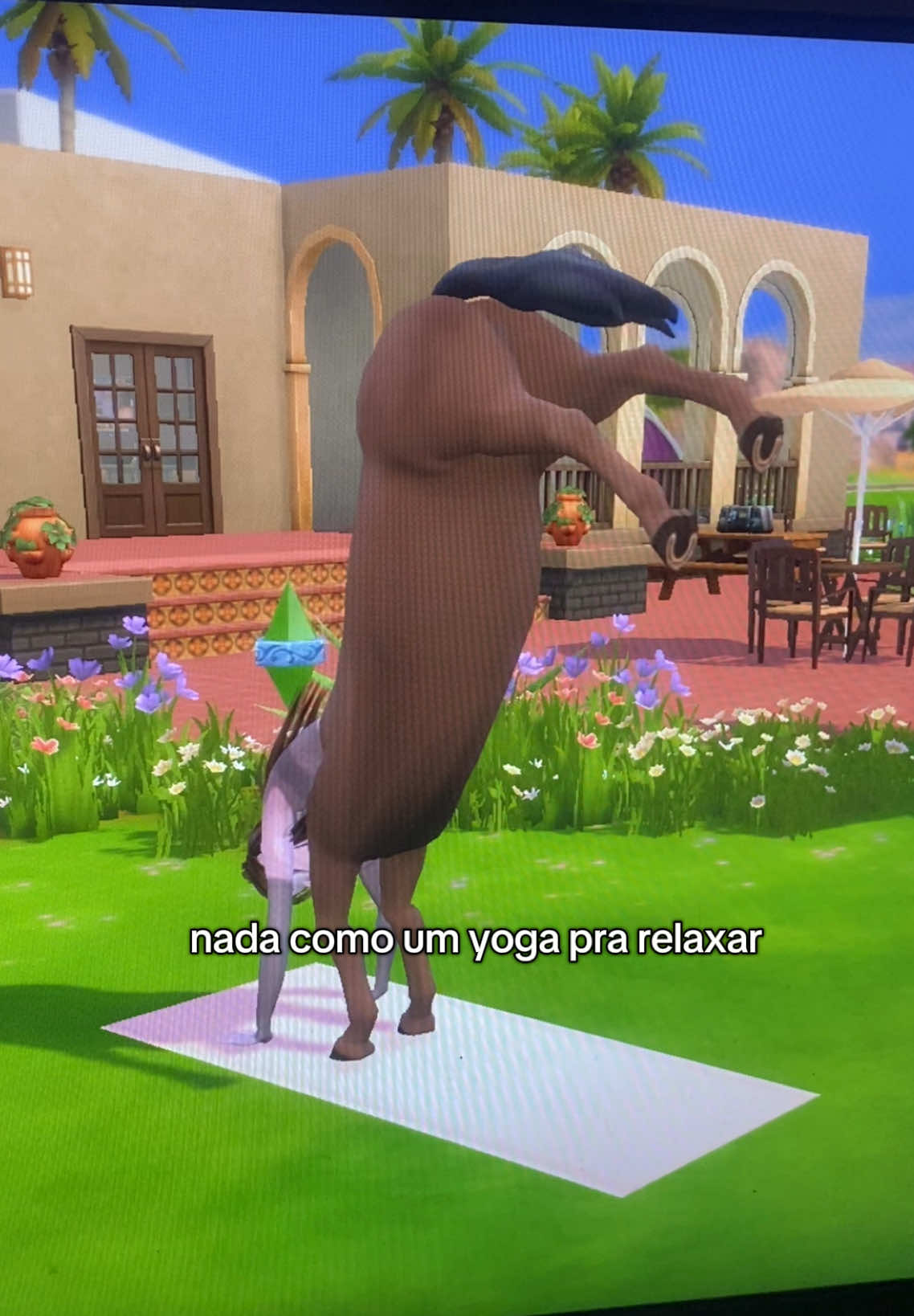 @Emy Sims 4