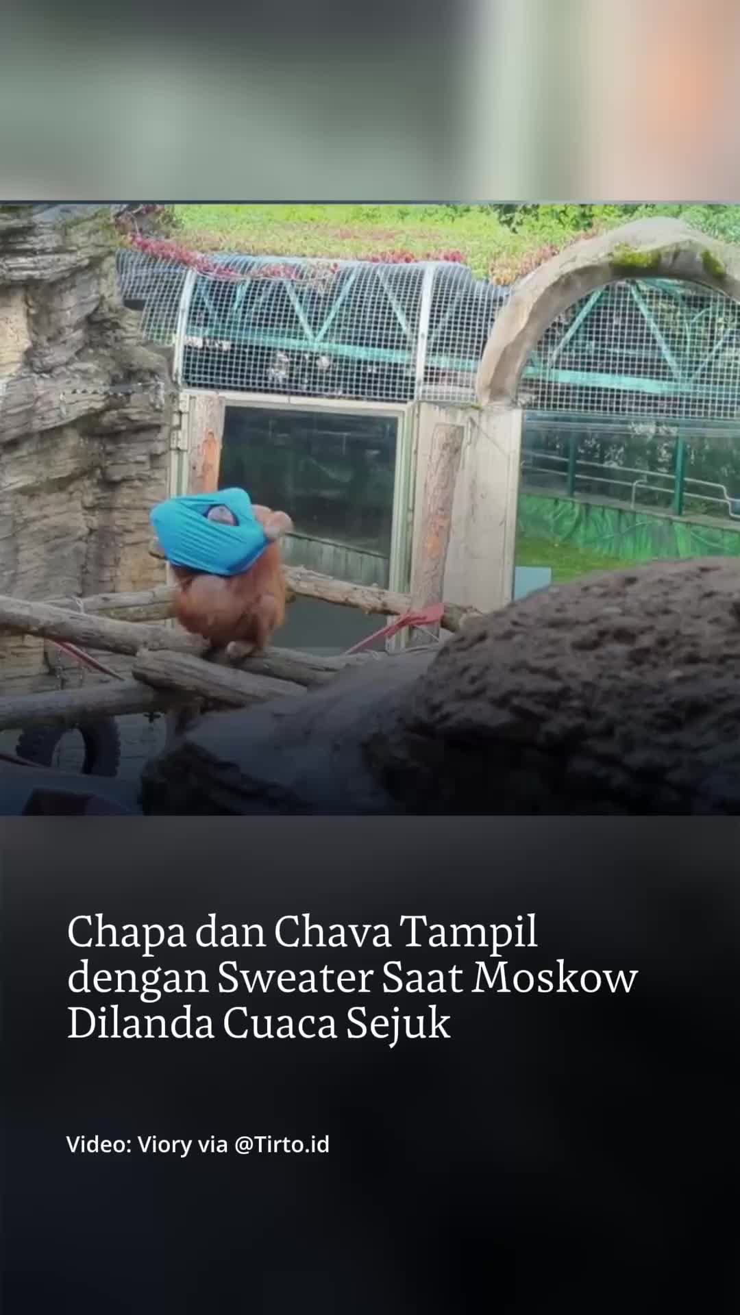 @mongabayindonesia