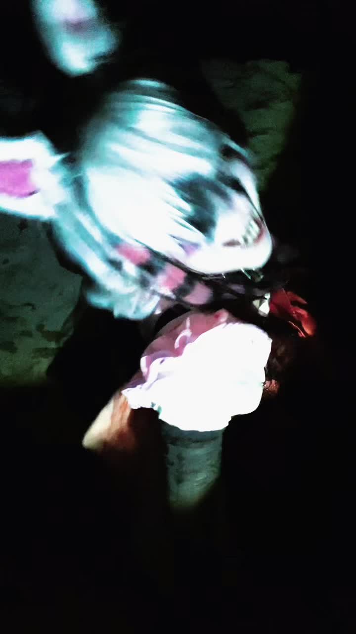 @turntechgethead