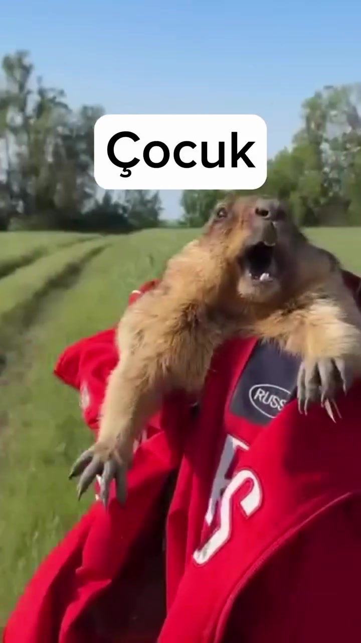 @kasabamersin