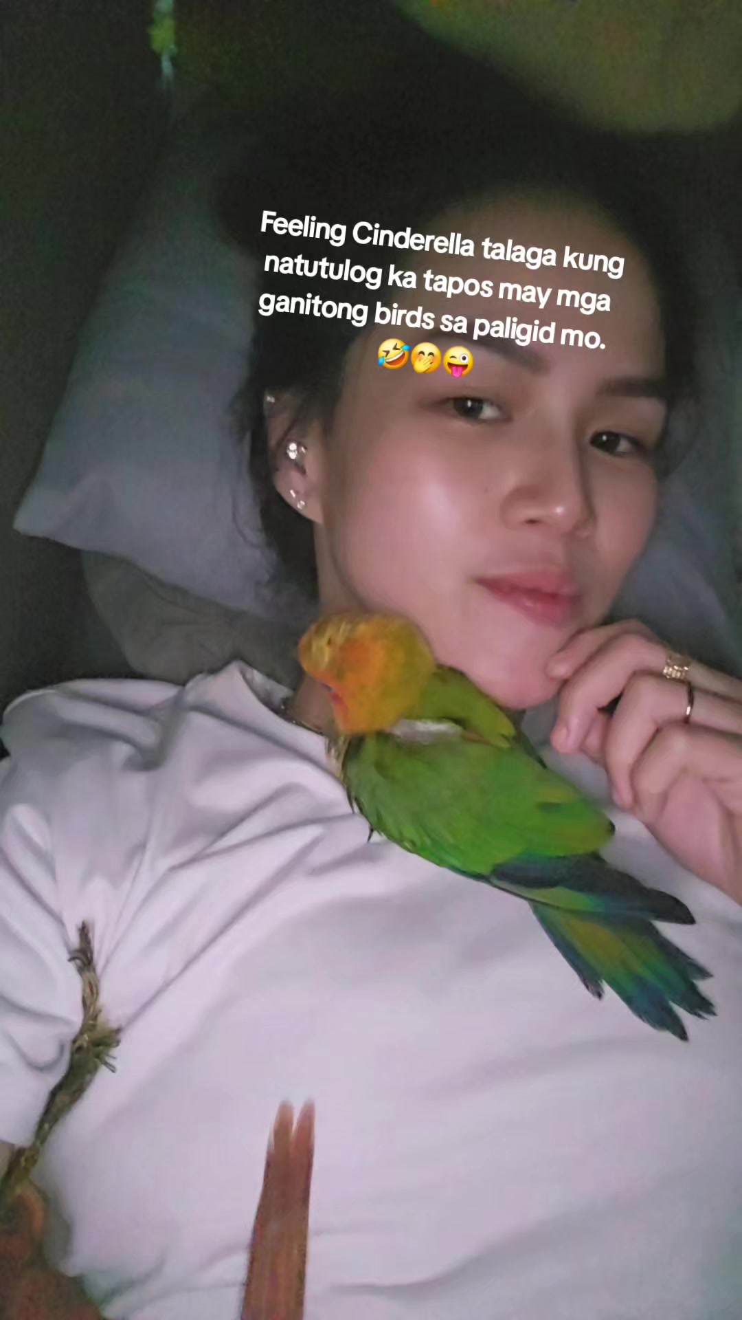 @nikikayyyy