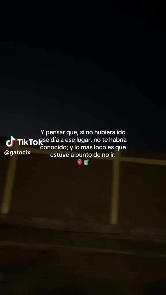 @gatita