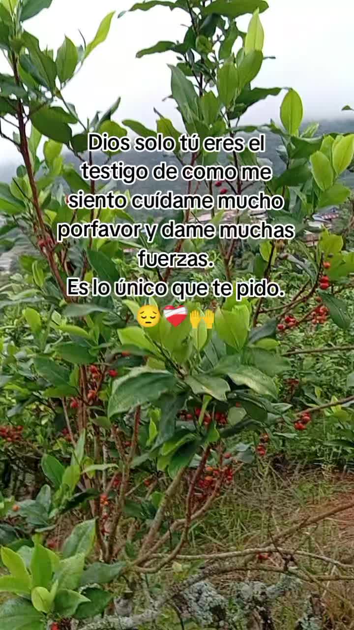 @Marleni .....♡