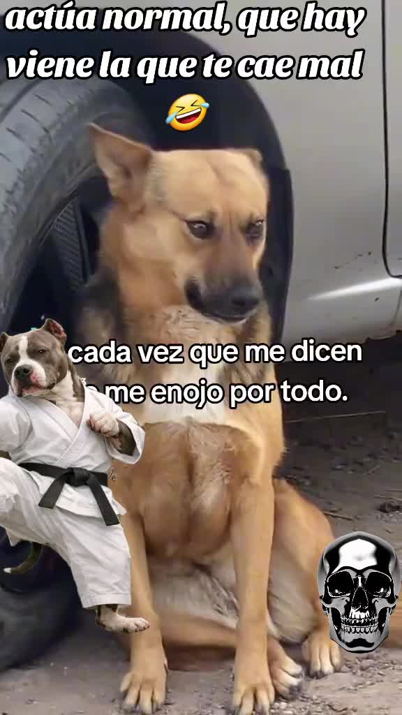 @rikum🇲🇽