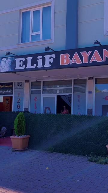 @Elif KARAASLAN