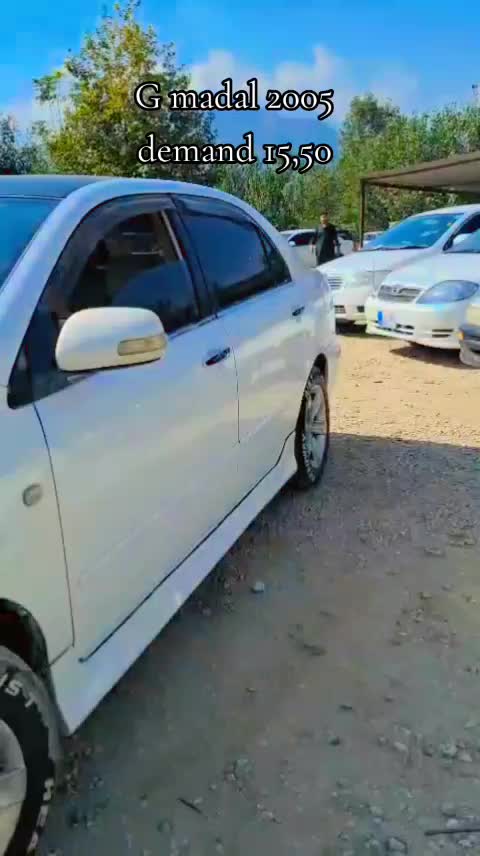 @ncpcarlover1