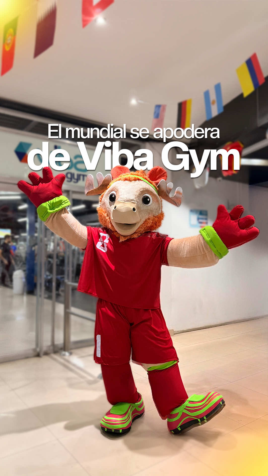@Vibagym
