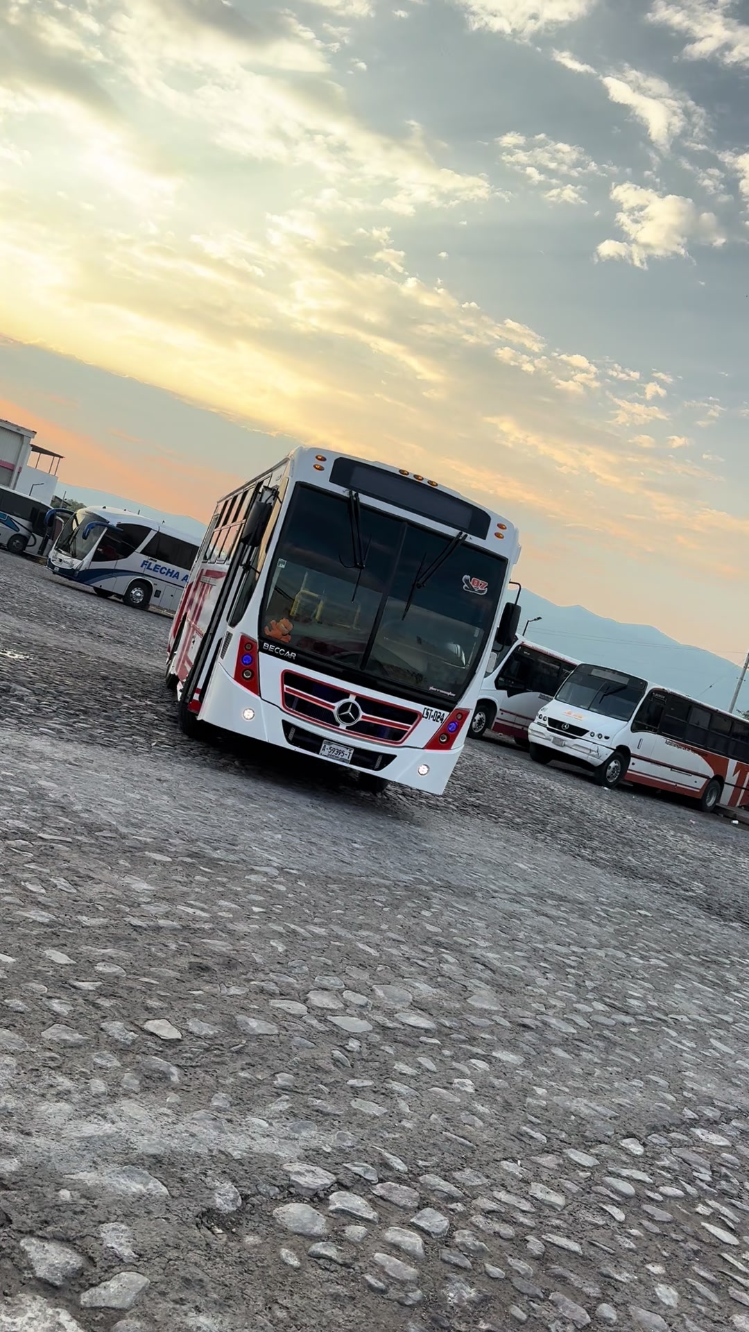 @Farsante's Tx🚎🦎👑🍓