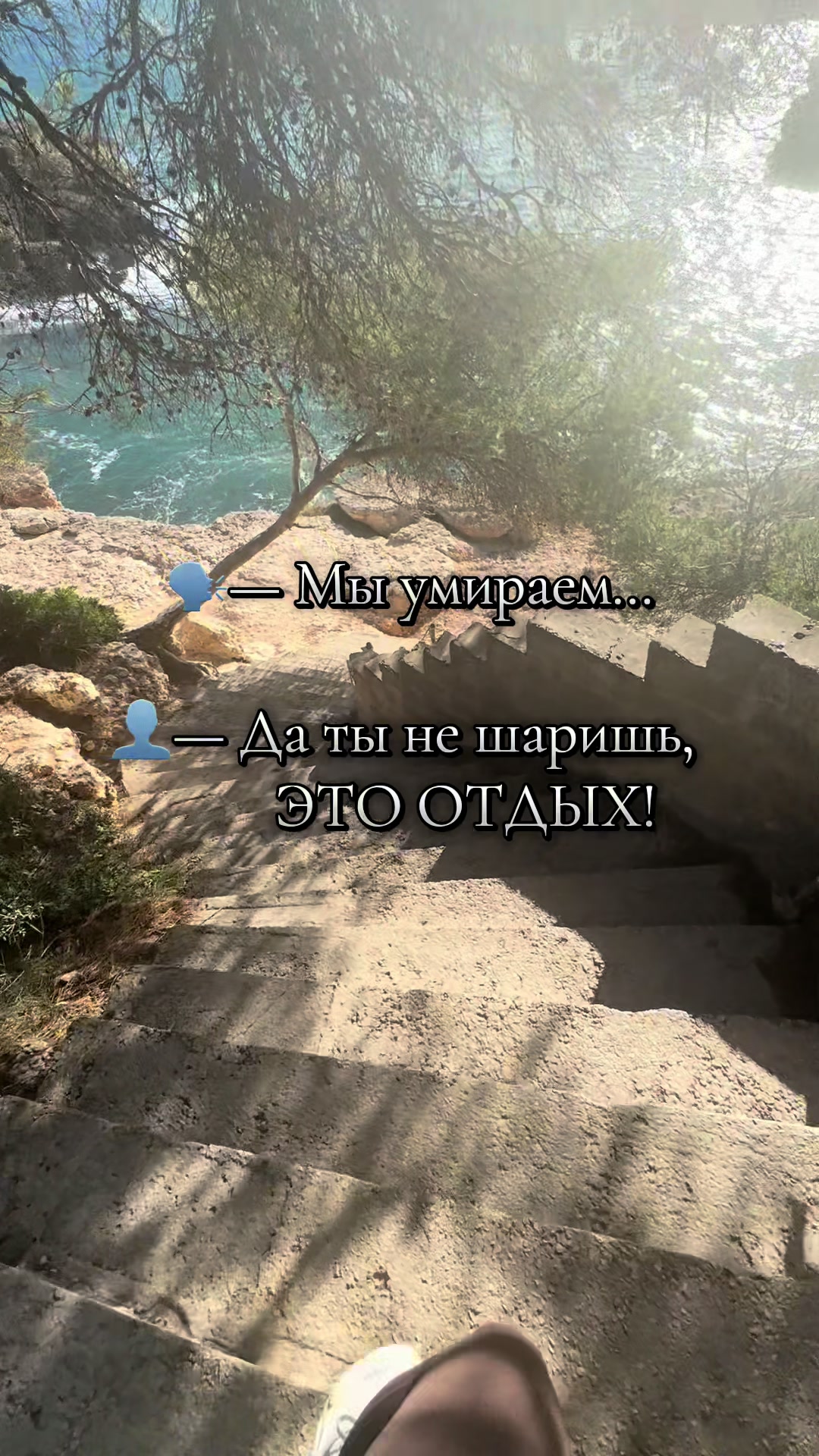 @Haia